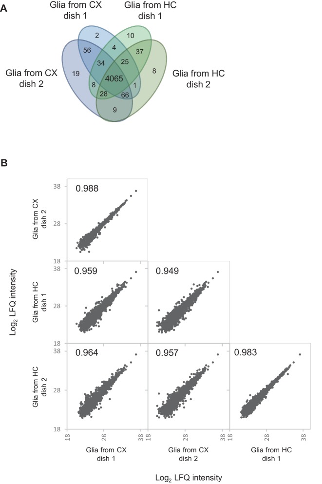 Figure 6—figure supplement 4.