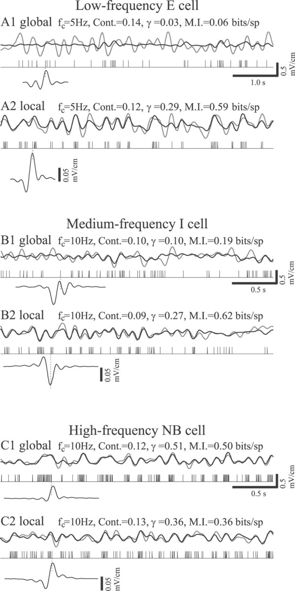 Fig. 10.