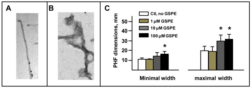 Fig. 8