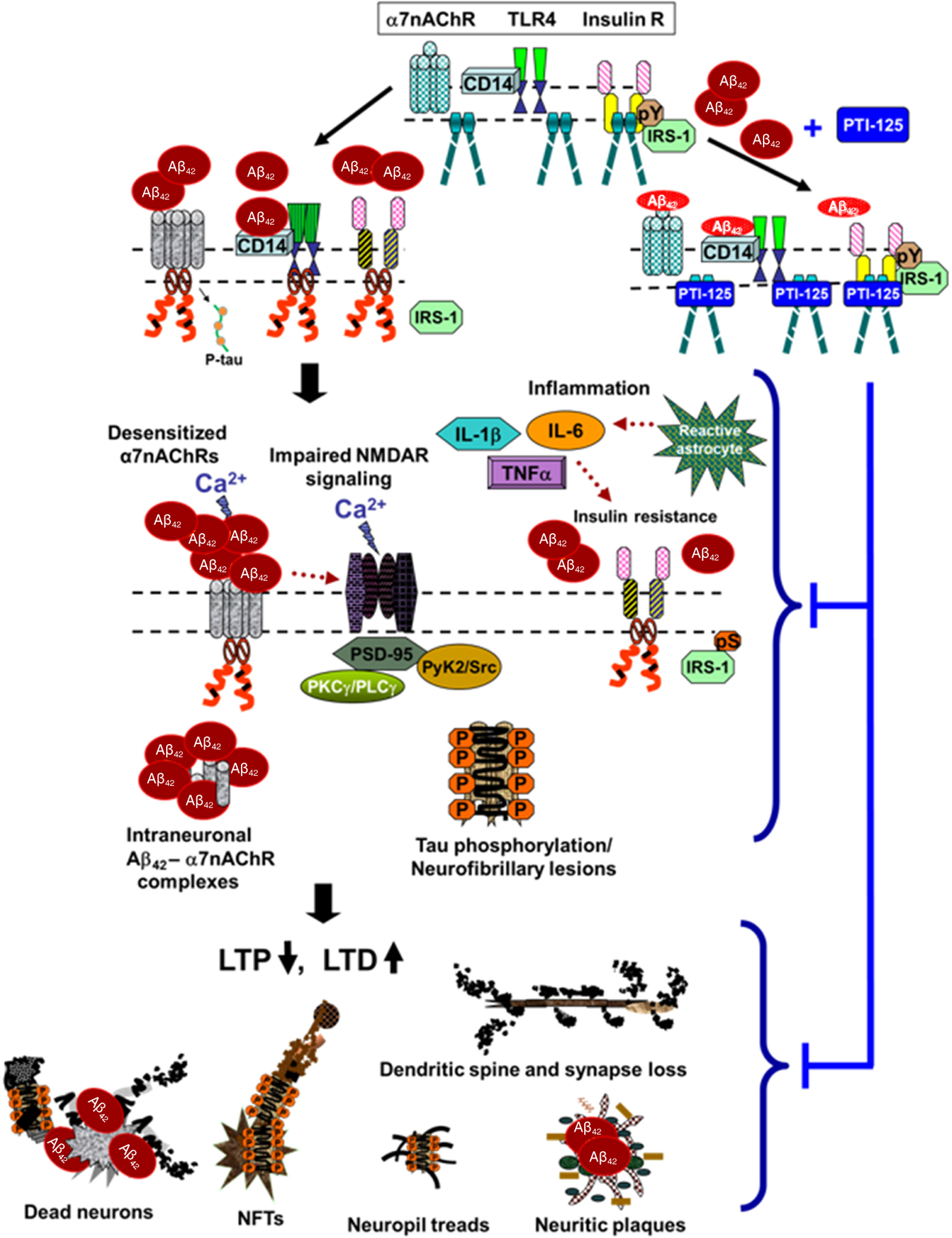 Figure 3: