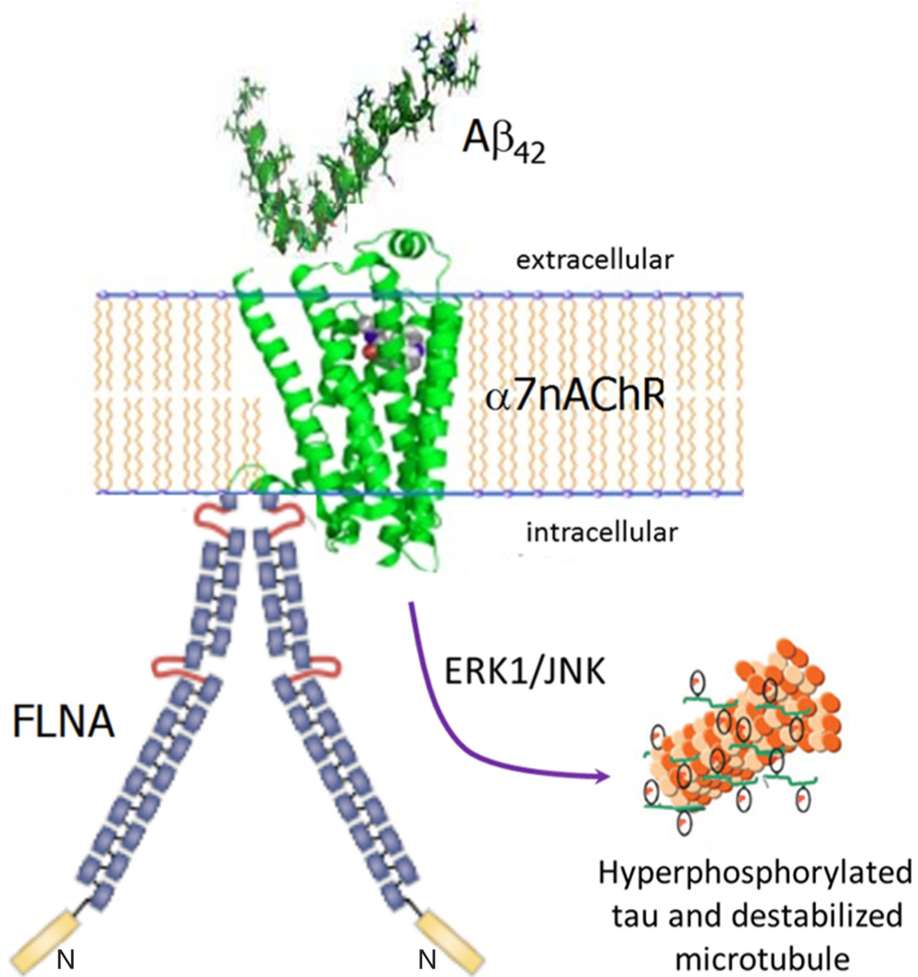 Figure 1: