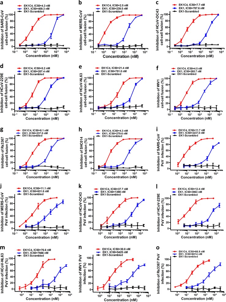 Inhibition of SARSCoV2 (previously 2019nCoV) infection by a highly