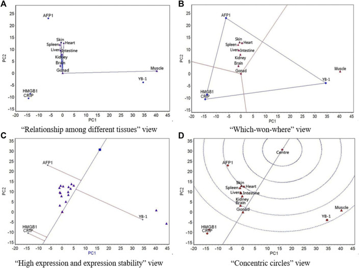 FIGURE 4