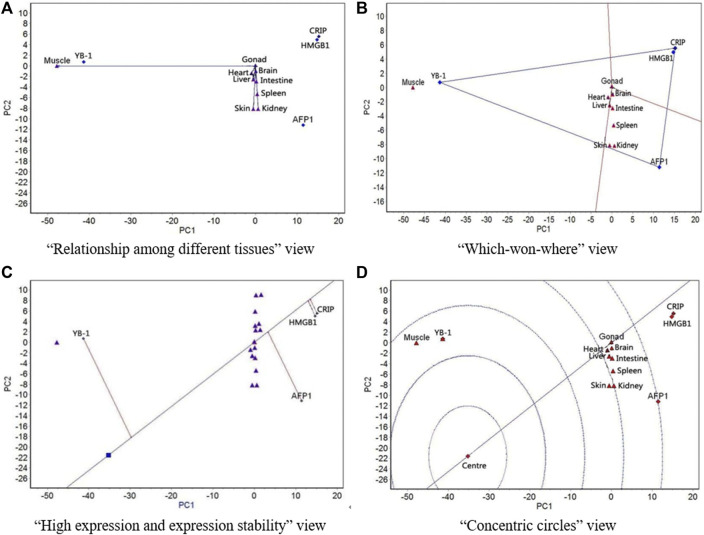 FIGURE 5