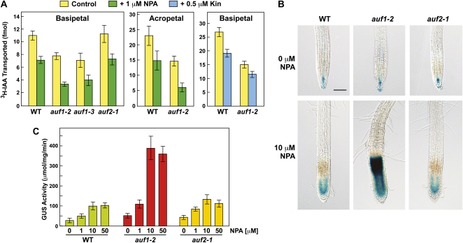 Figure 4.