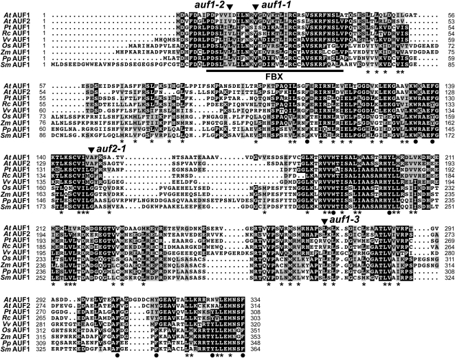 Figure 2.