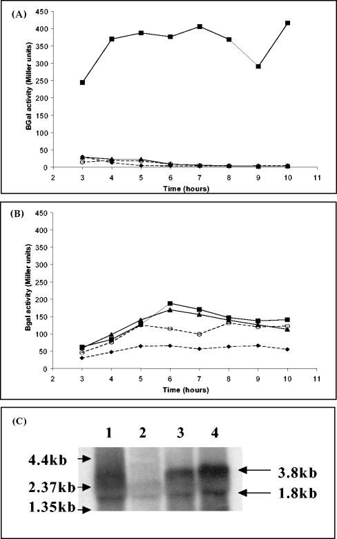 FIG. 5.