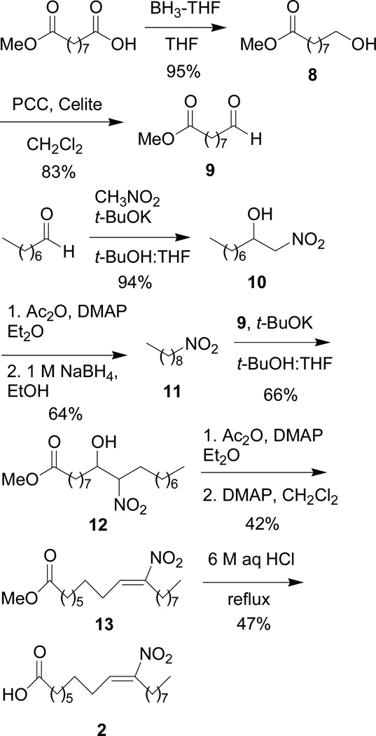 Scheme 3