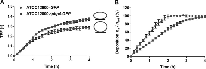 FIG 2