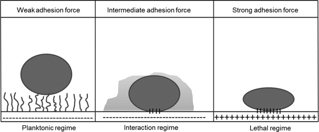 FIG 1