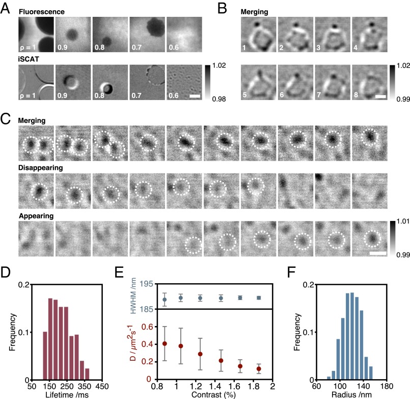 Fig. 3.