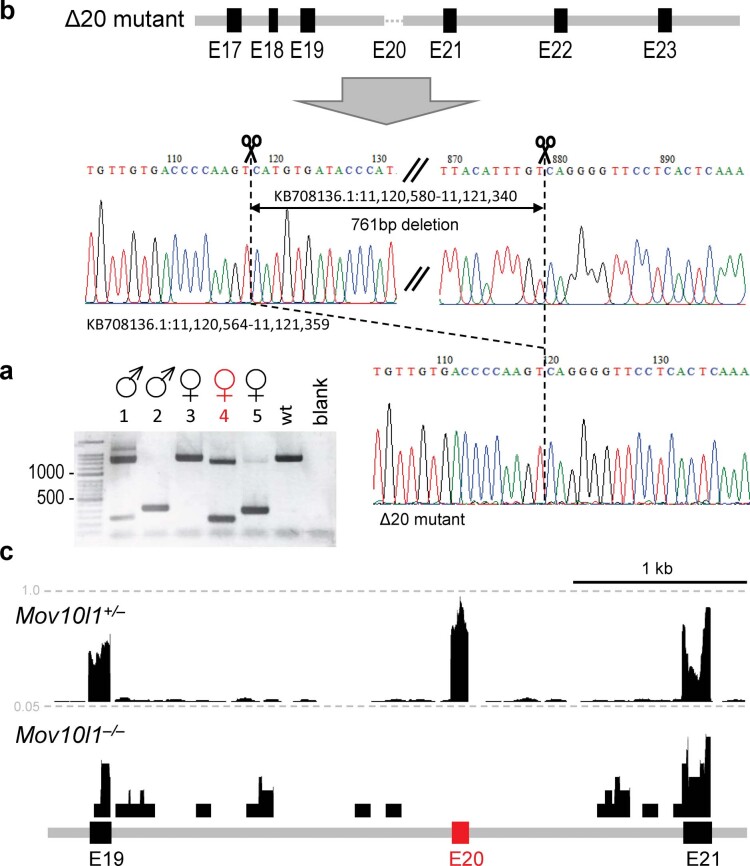 Extended Data Fig. 3