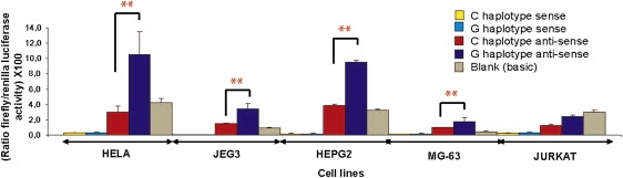 Figure 5