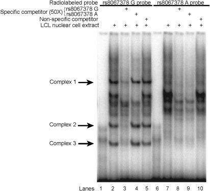 Figure 6