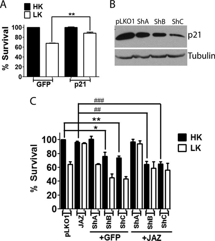 FIGURE 11.