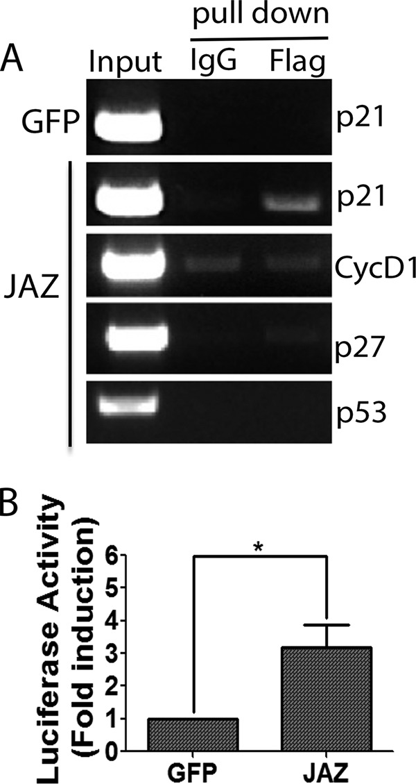 FIGURE 9.