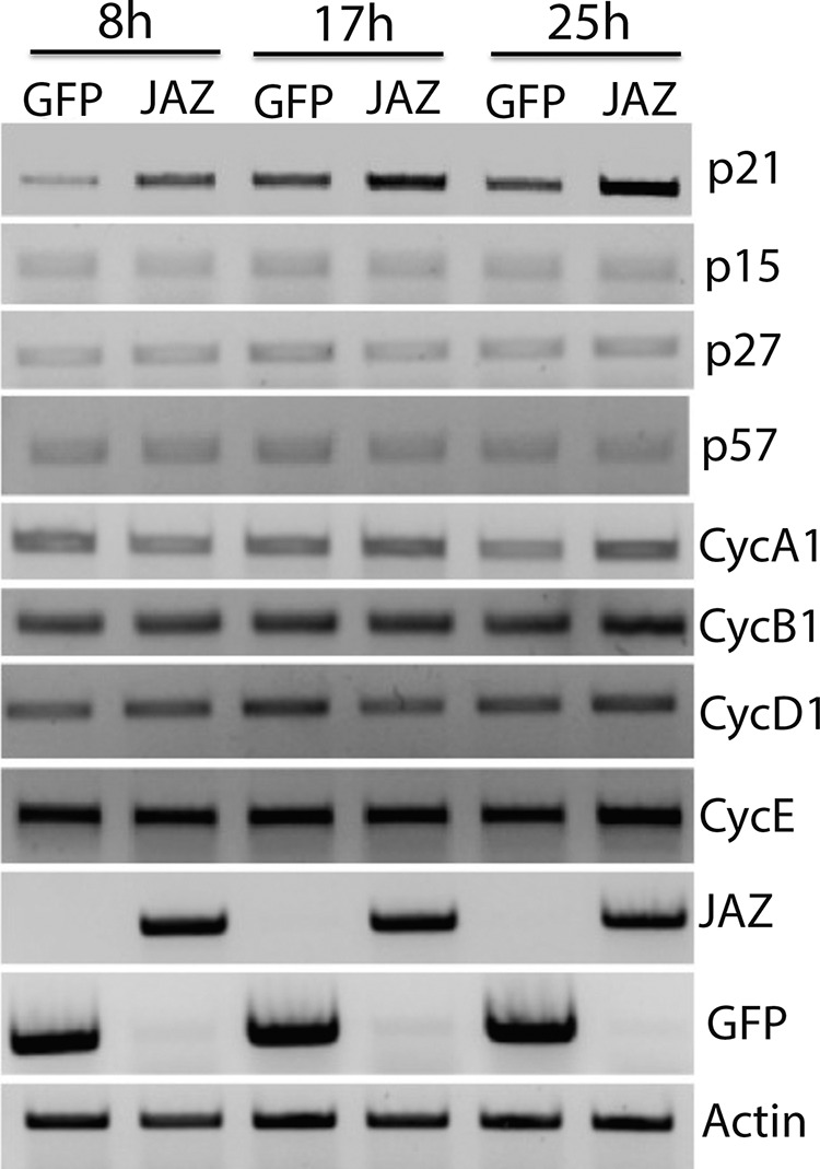 FIGURE 7.