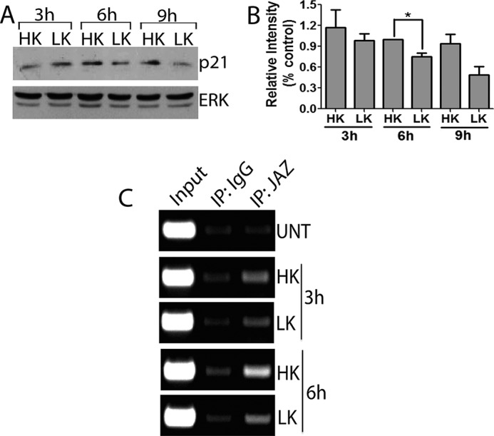 FIGURE 10.