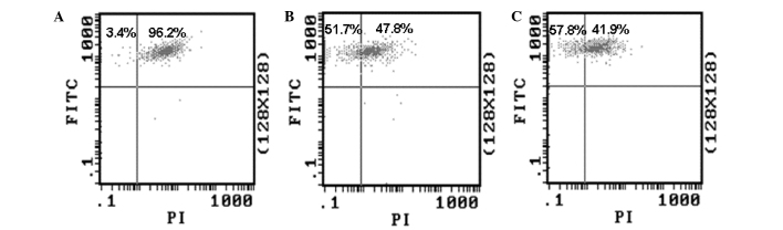 Figure 2.