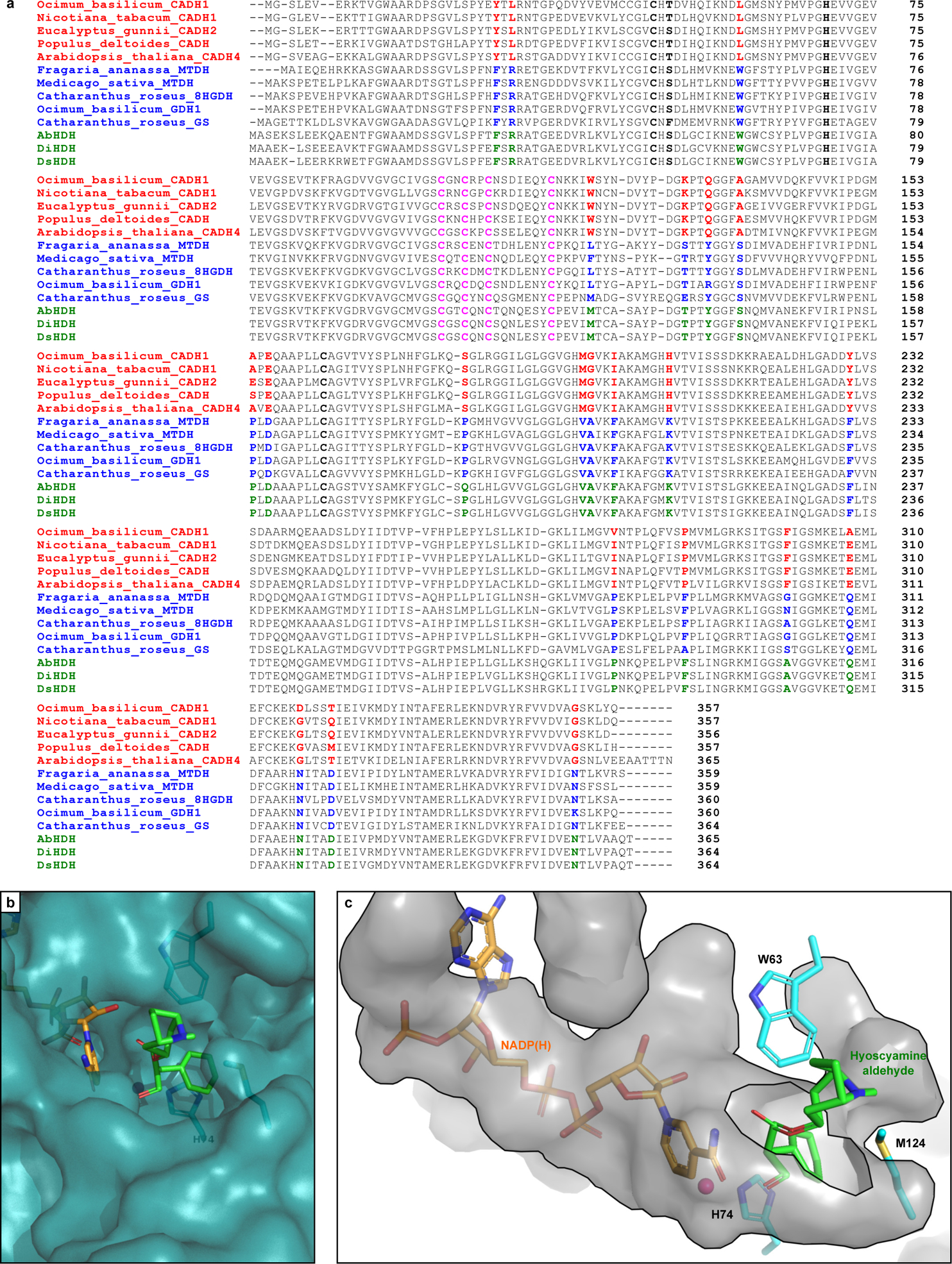 Extended Data Figure 5.