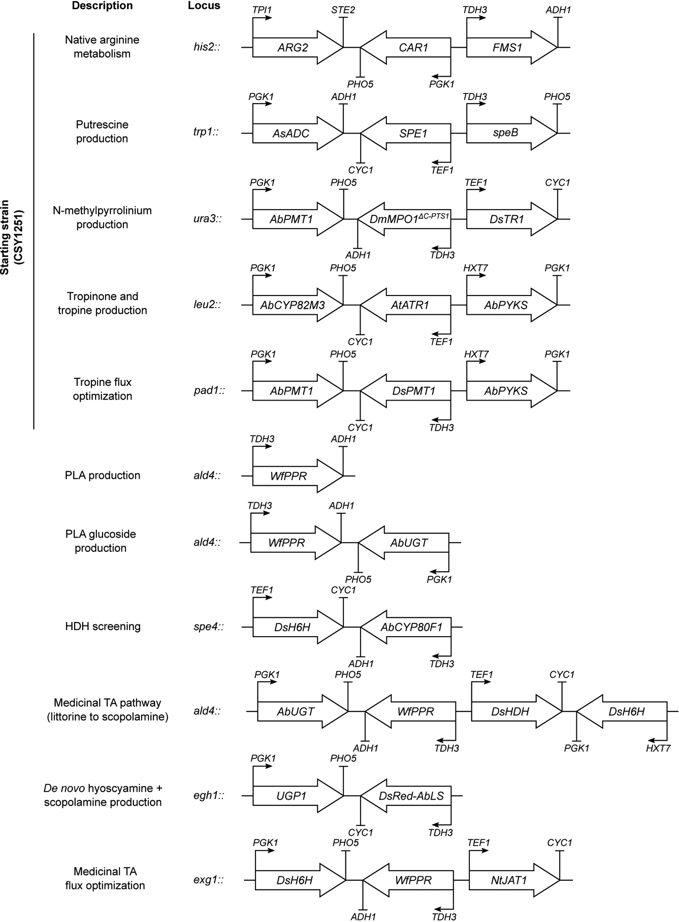 Extended Data Figure 1.