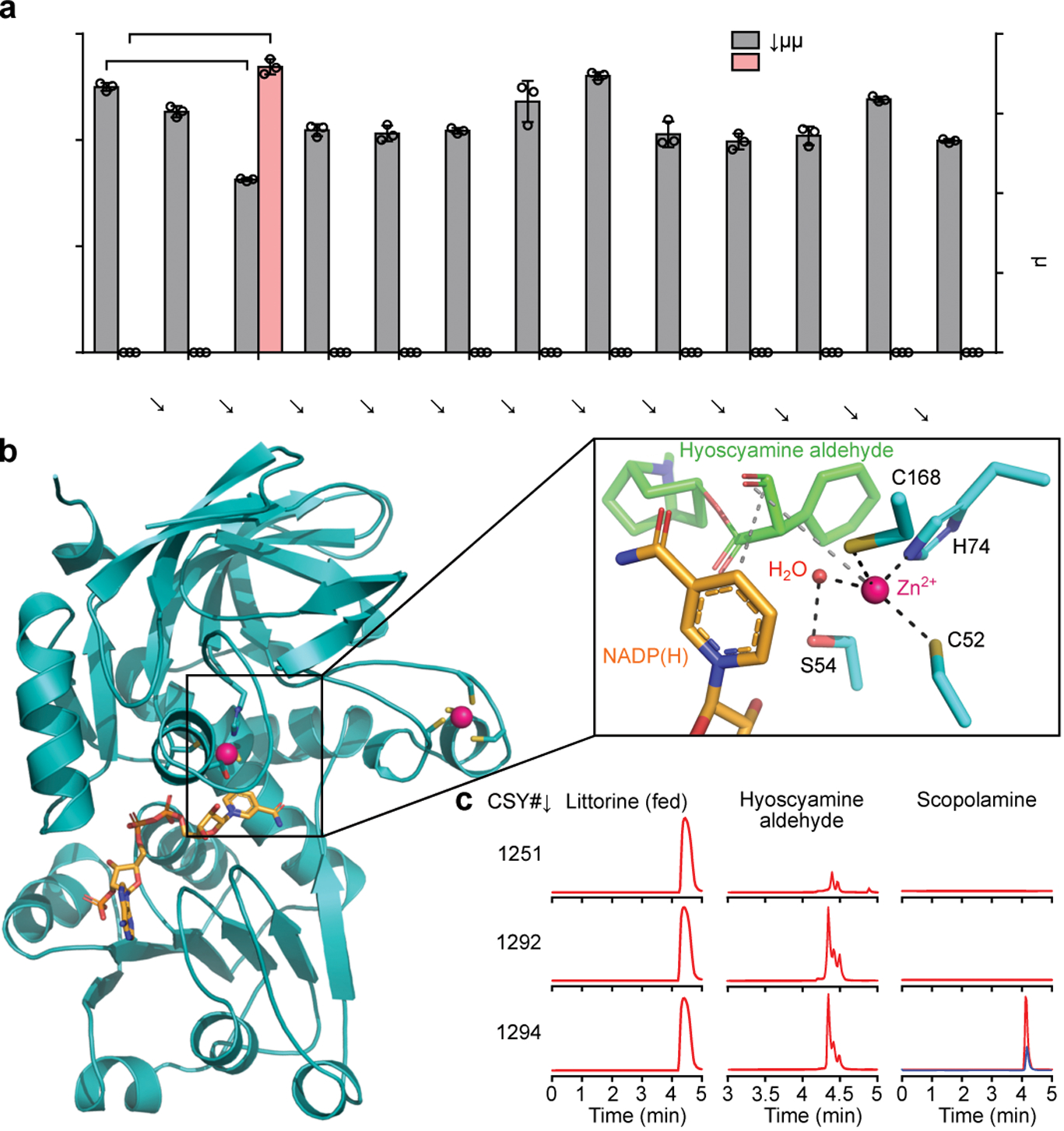 Figure 2.