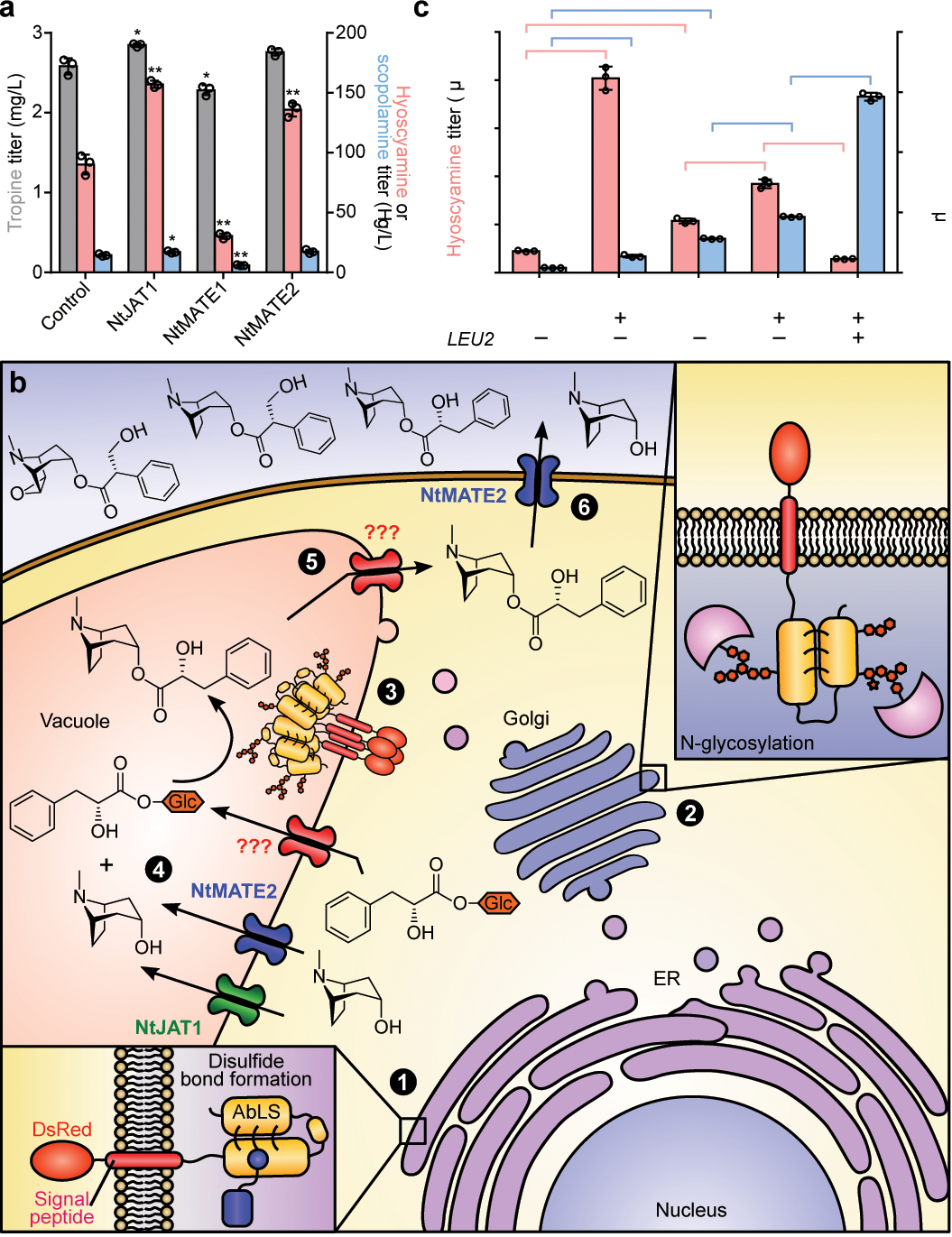 Figure 4.