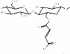 graphic file with name 289_2022_4443_Figj_HTML.gif