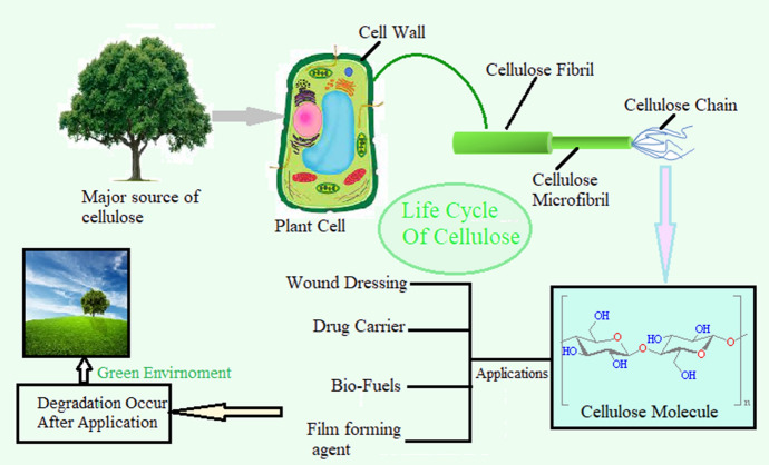Fig. 7
