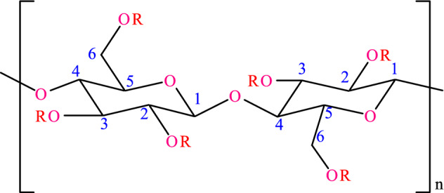 Fig. 12