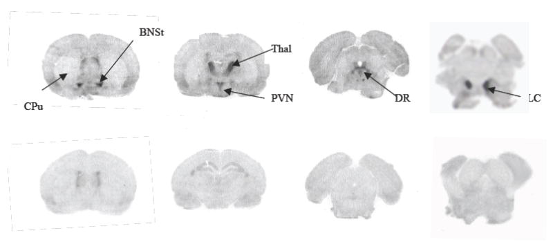 Fig.2