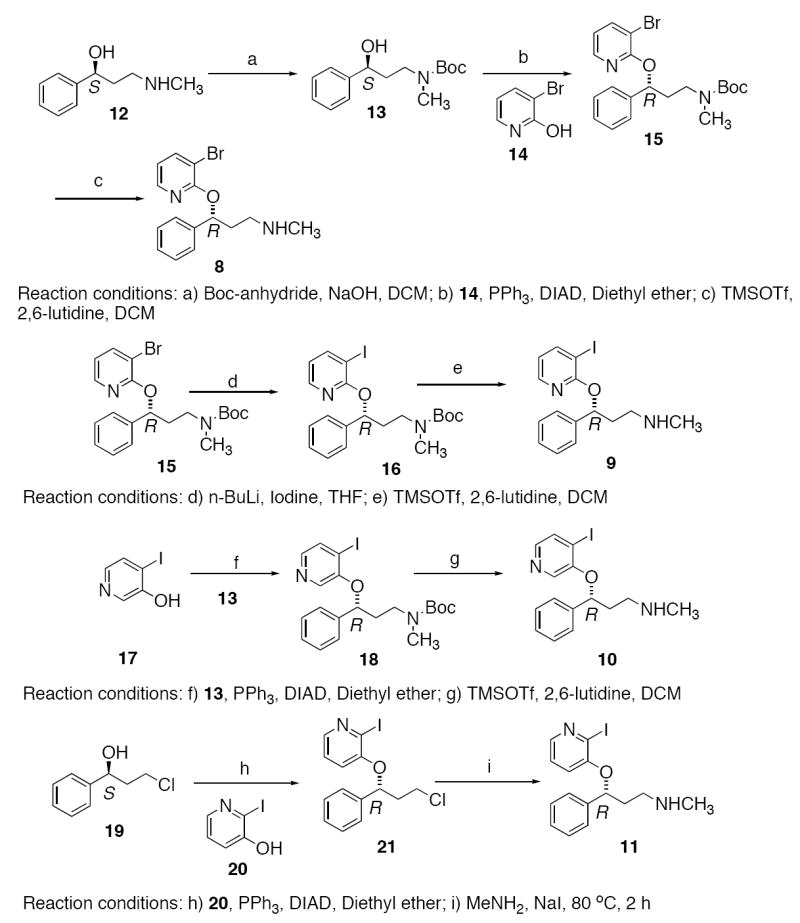 Scheme 1