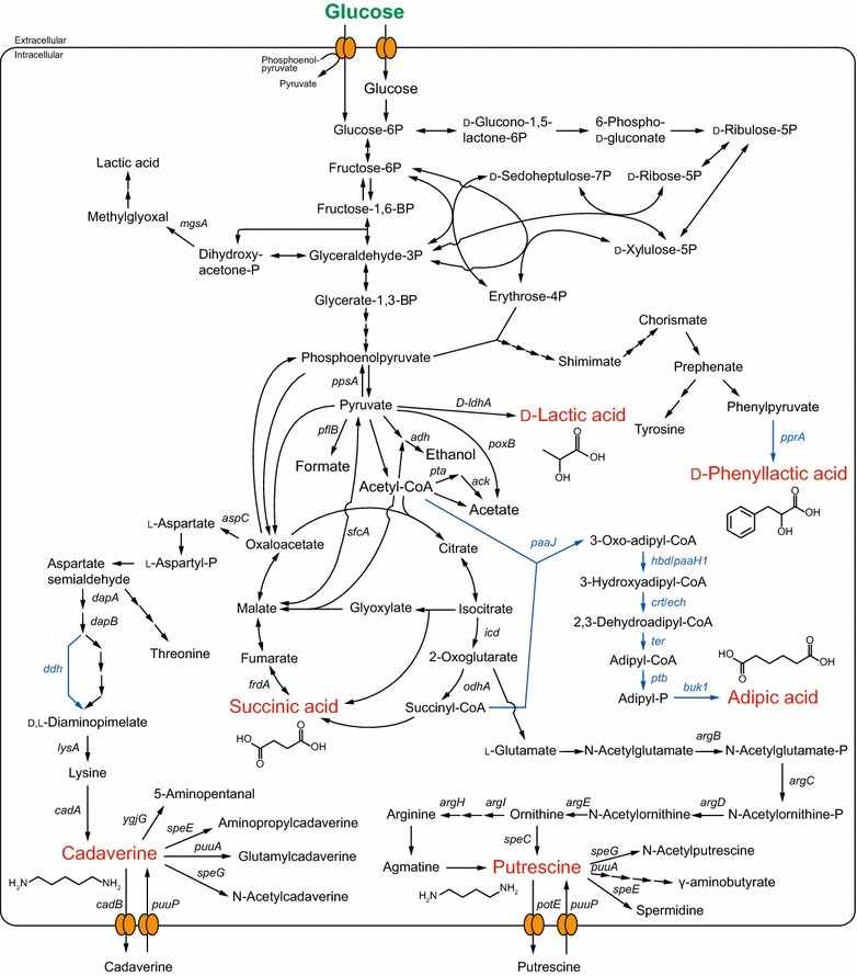 Fig. 2