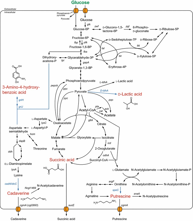 Fig. 1