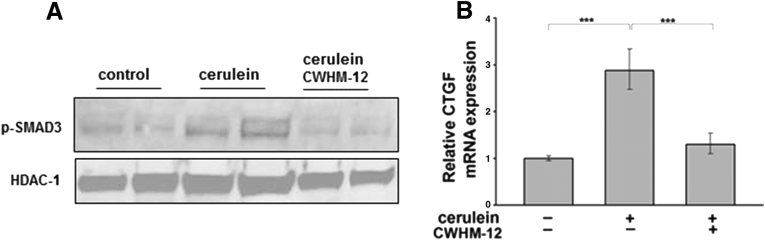 Figure 5