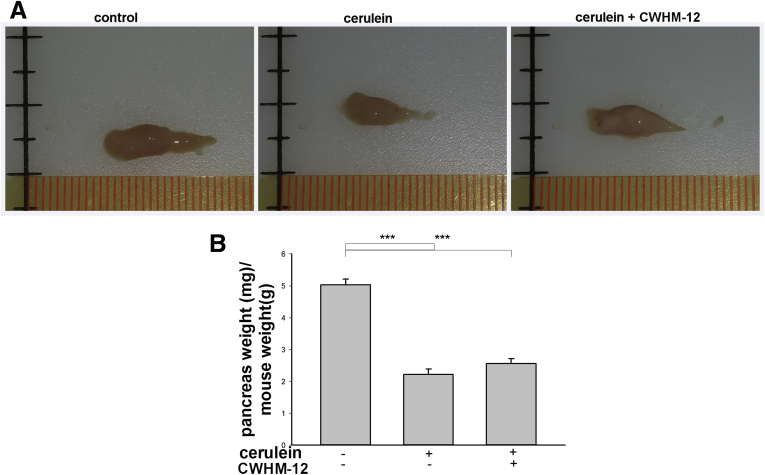 Figure 2