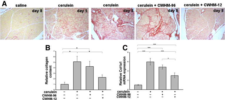 Figure 6