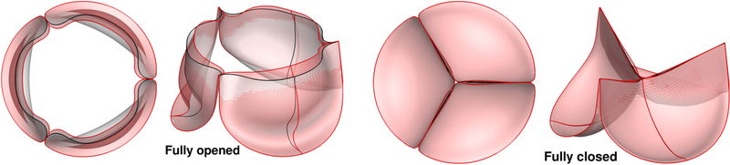 Figure 7.