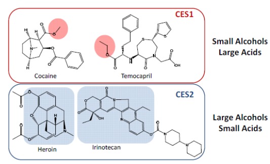 Fig. (6)