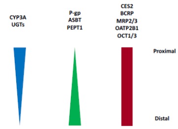 Fig. (5)