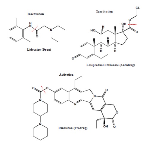 Fig. (1)