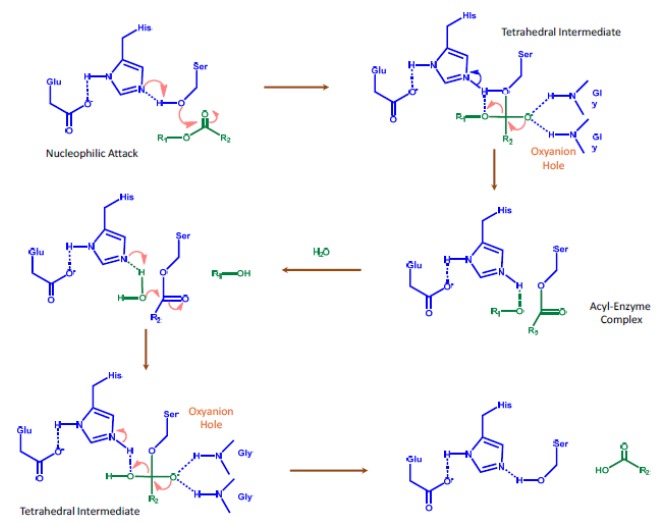 Fig. (3)