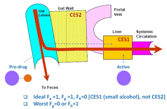 Fig. (8)