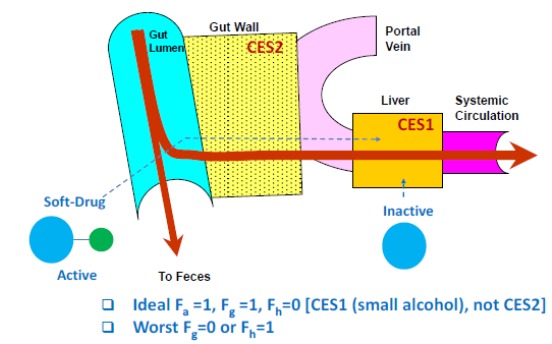 Fig. (7)