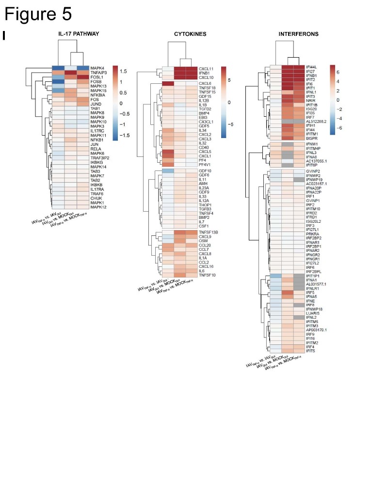 Figure 5.