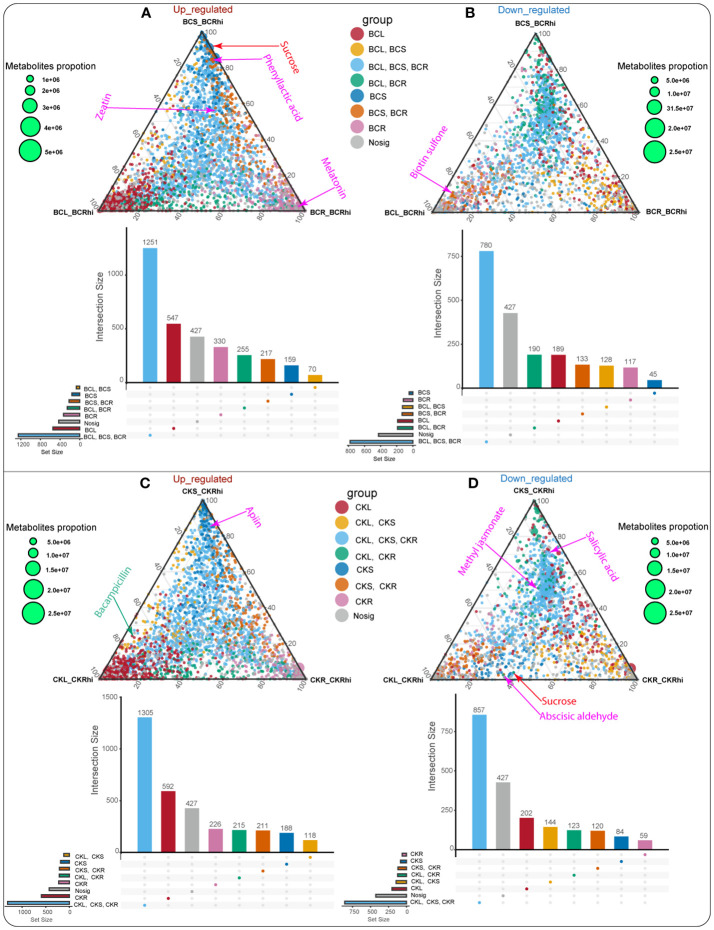 Figure 4