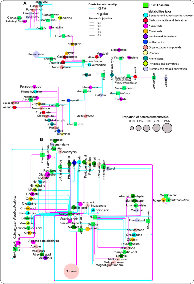 Figure 6