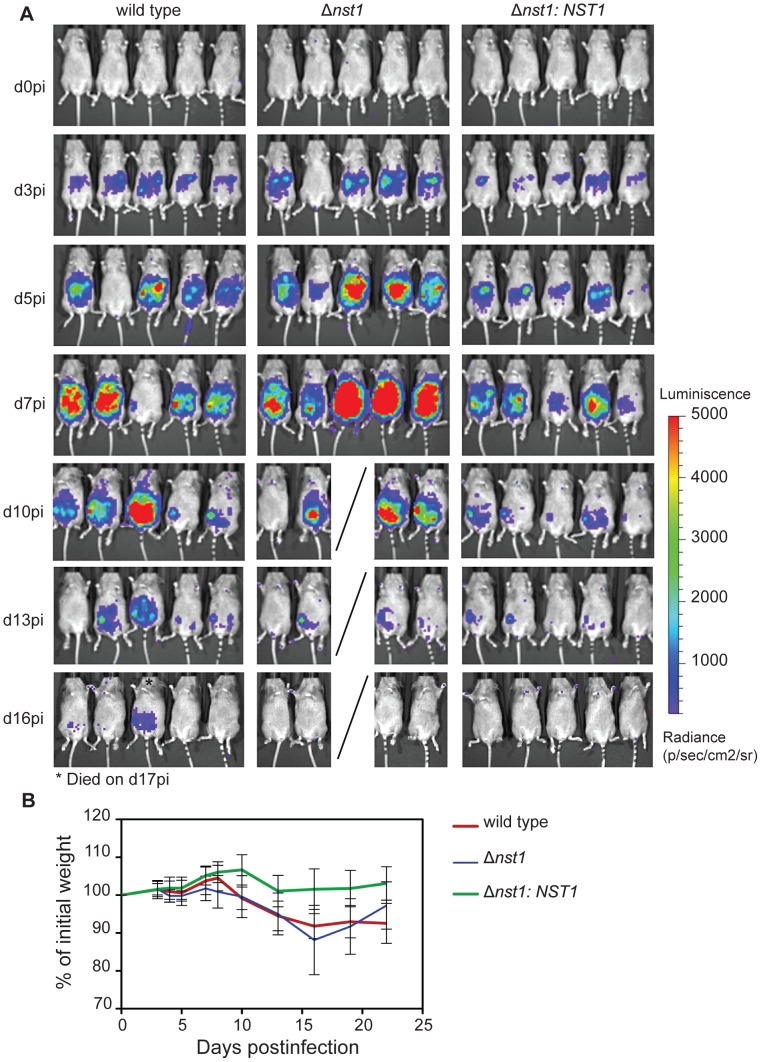 Figure 6