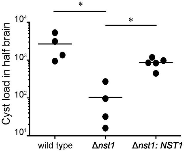 Figure 7