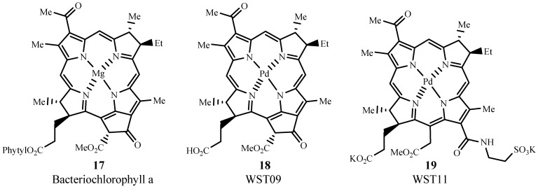 Figure 13